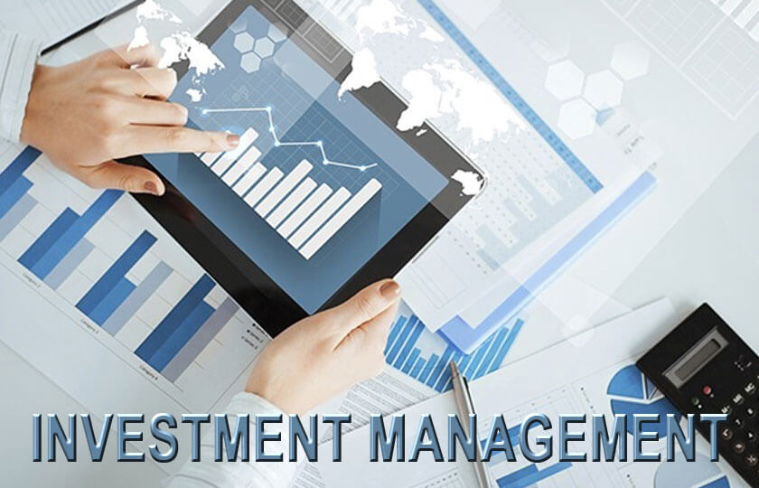 What is Investment Management